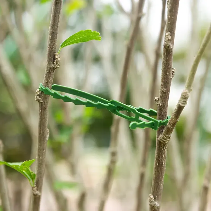 Flexible Stems And Branches Still Bend Without Snapping
