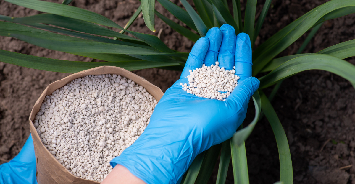 fertilizing plants (featured image)