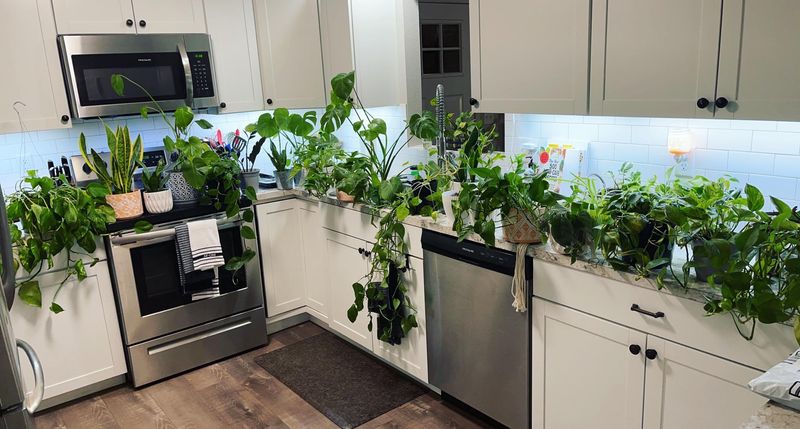 Above The Kitchen Sink