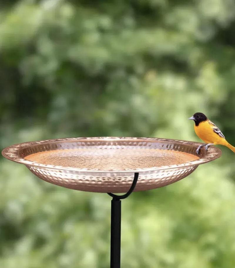 Avoid Full Shade Spots That Freeze Faster