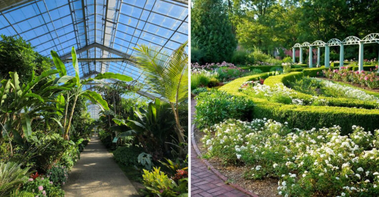 8 Beautiful Botanical And Public Gardens To Explore In Southeast Michigan