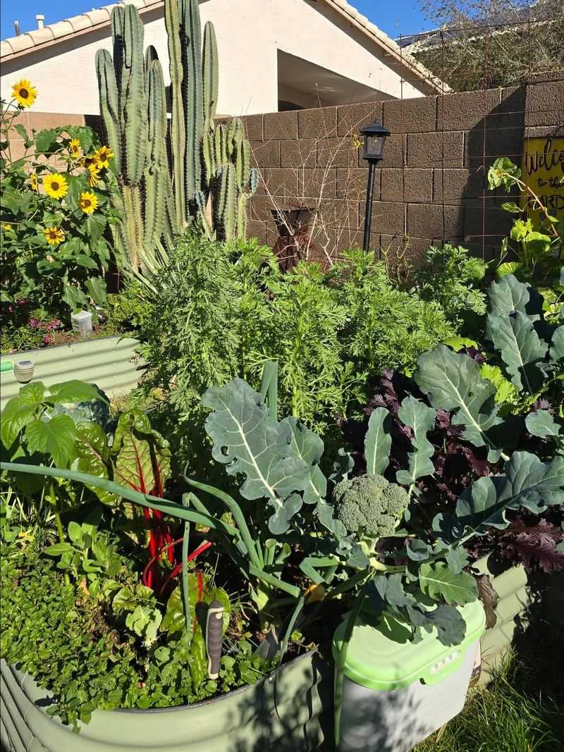Leafy Greens Respond Well To Early Above-Ground Growth