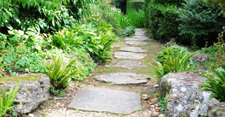 garden (featured image)