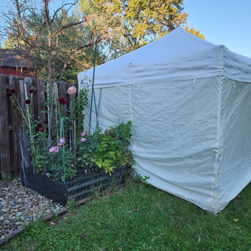 Cover Plants With Blankets Or Sheets