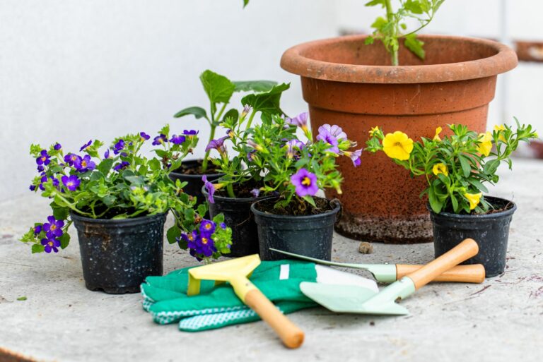 garden tasks and tools