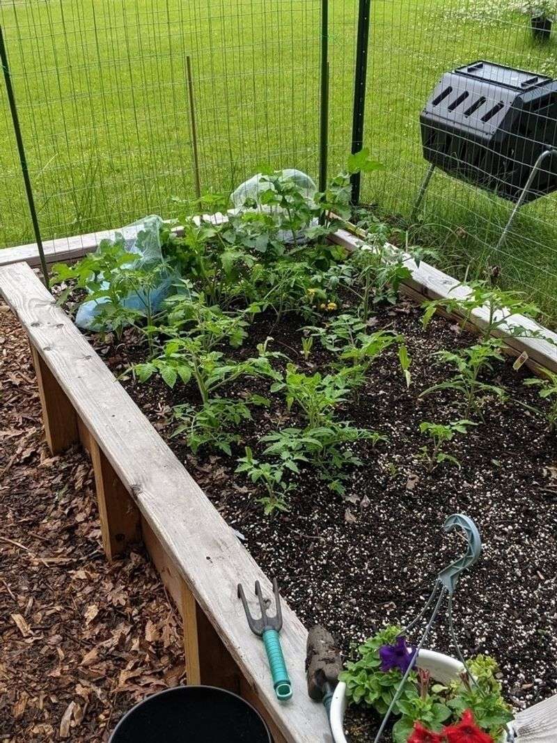 Compost Improves Soil Structure And Nutrient Availability