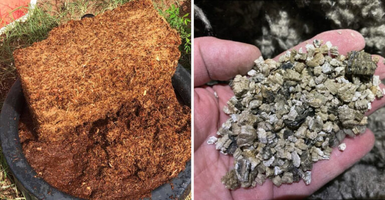 8 Materials Arizona Gardeners Add To Raised Beds For Stronger Growth