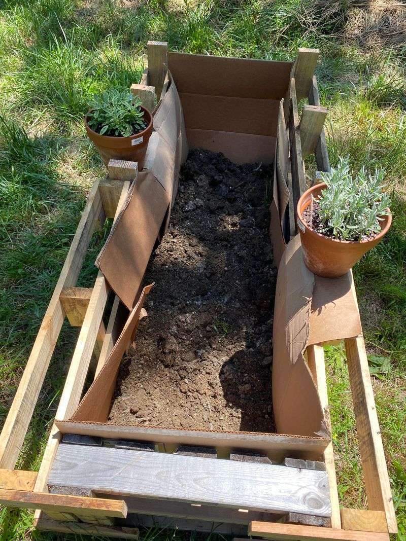 Layer Cardboard First To Block Weeds Without Chemicals