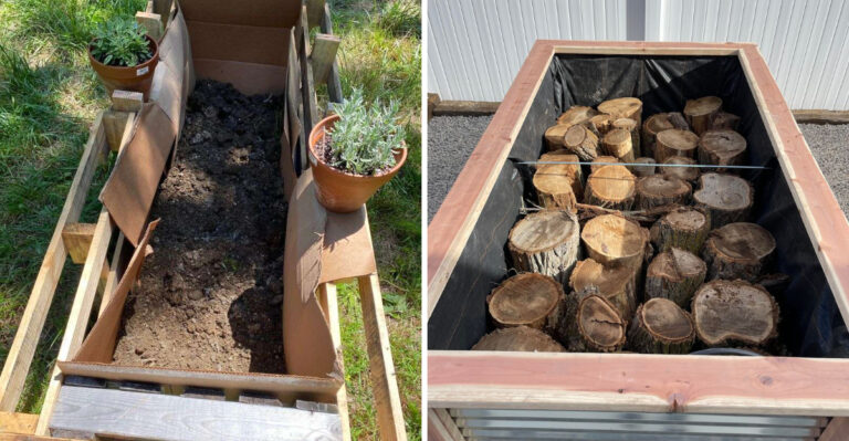 8 Materials To Put In The Bottom Of Raised Beds In Georgia For Healthier Plants