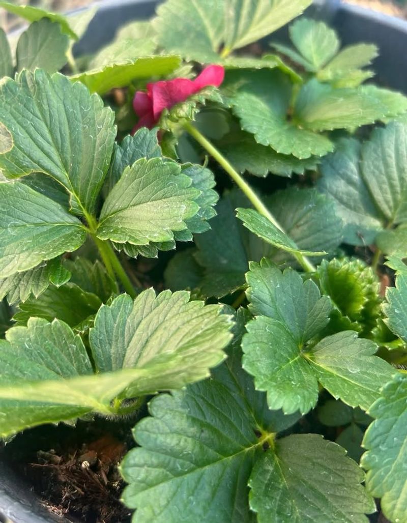 Right Timing Makes A Bigger Difference Than Variety