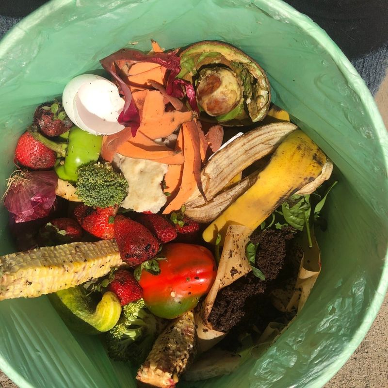 Compost Scraps Feed Soil Slowly And Safely