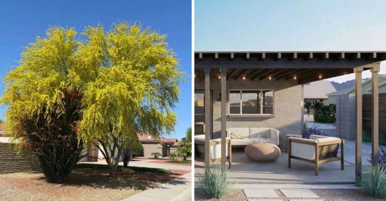8 Simple Ways To Cool Down Your Phoenix, Arizona Backyard
