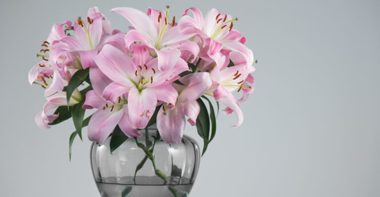 lillies in a vase