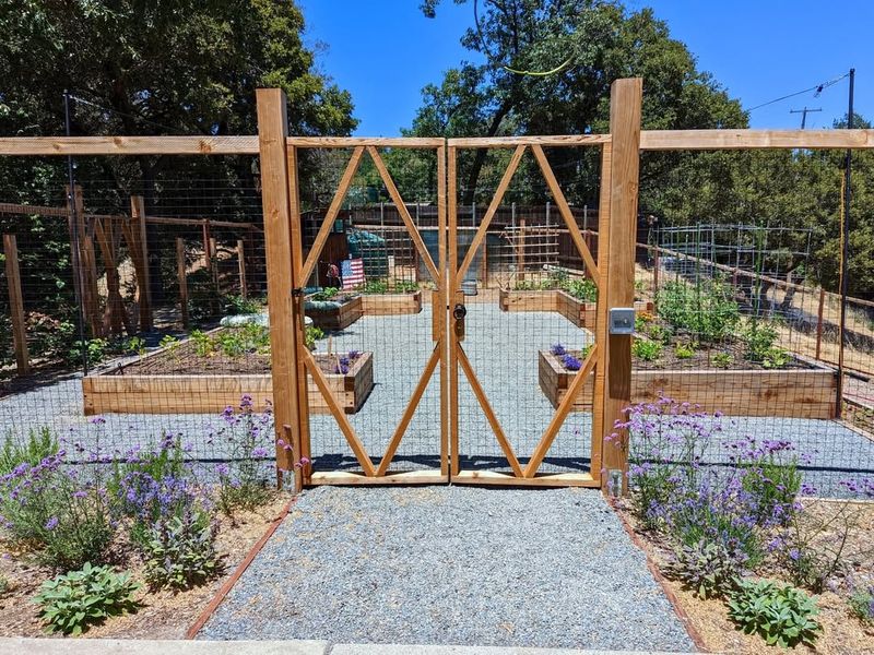 Install Tall Fencing That Deer Cannot Easily Jump