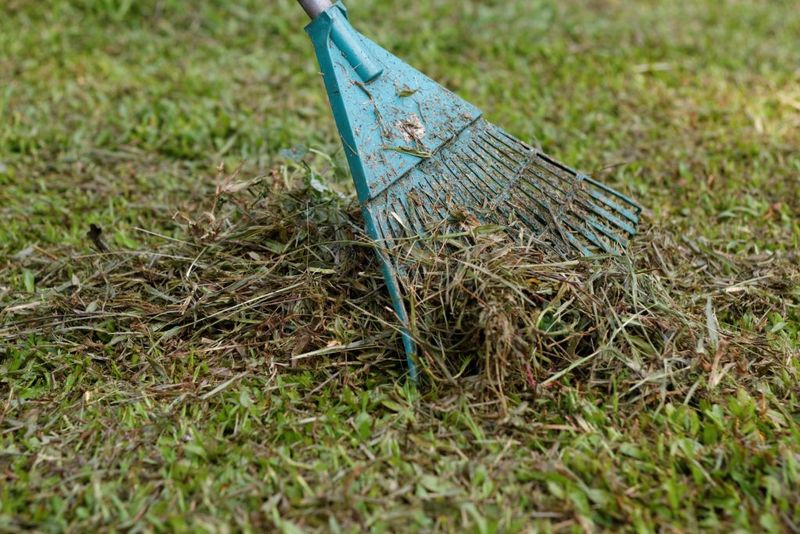 Clean Up Winter Debris From Beds And Lawn