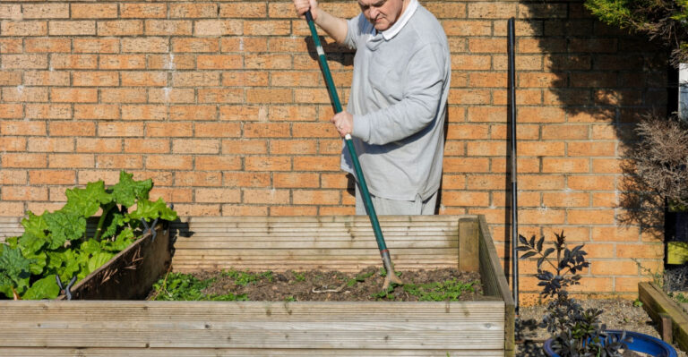 Gardener uses a hoe to prepare the soil