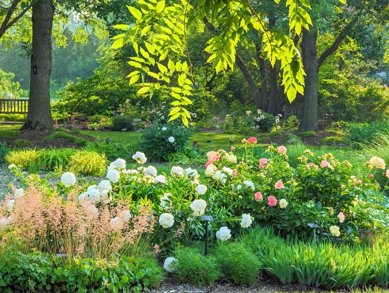 A Garden That Blends Research Beauty And Community