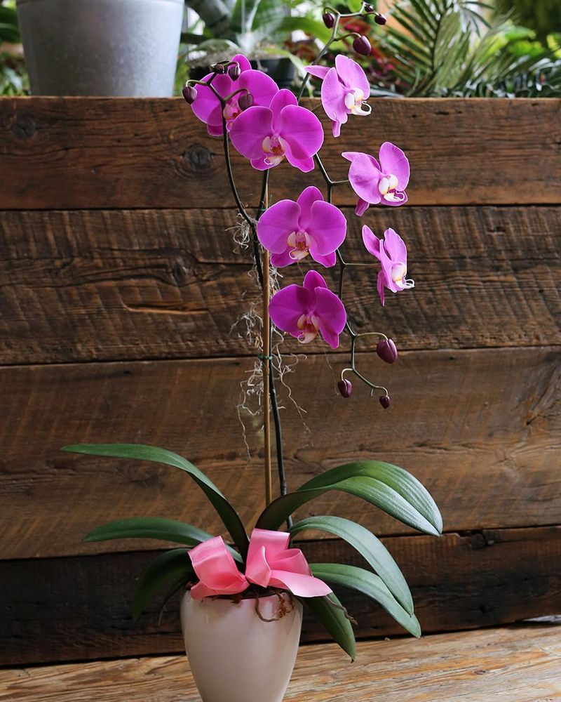 Bold And Unforgettable