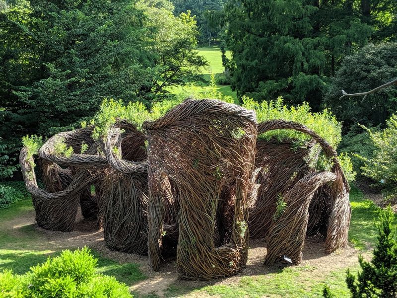 Historic Origins And An Educational Mission That Still Matters