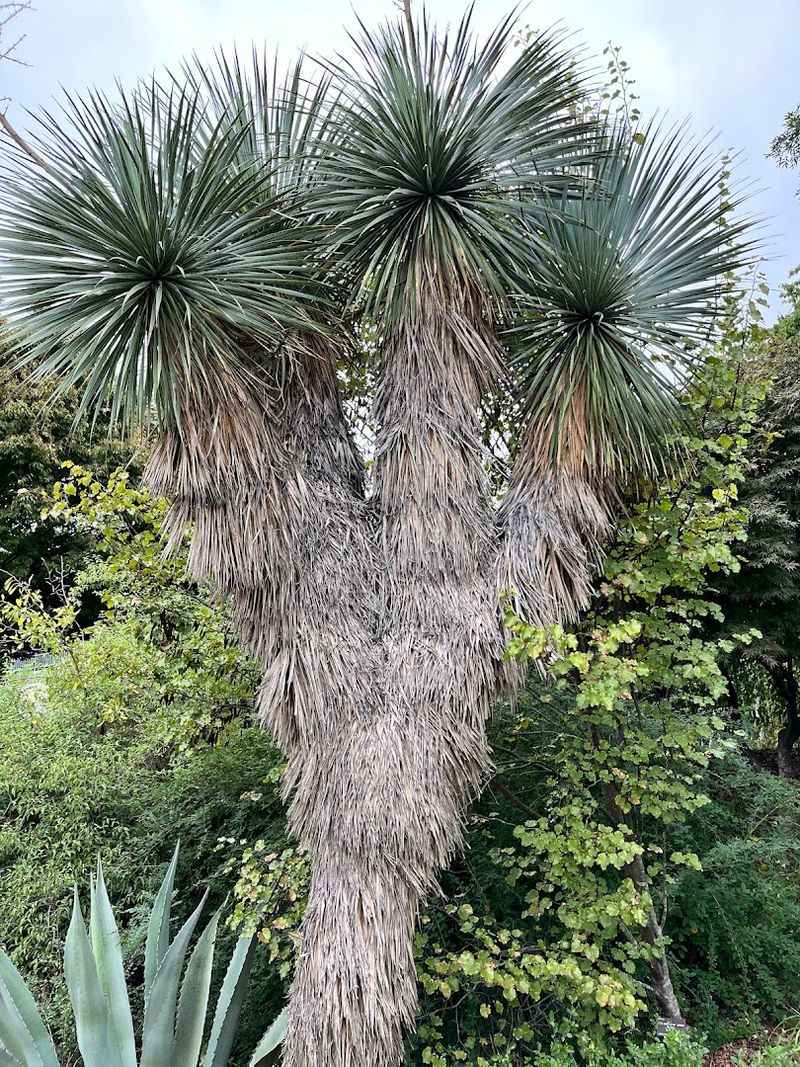 Photo Opportunities Around Every Corner