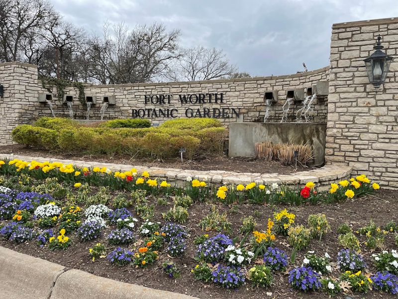 Spring Is When It Truly Comes Alive