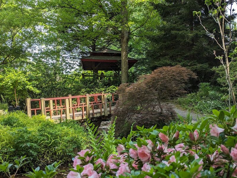 Supports Pollinators And Garden Biodiversity