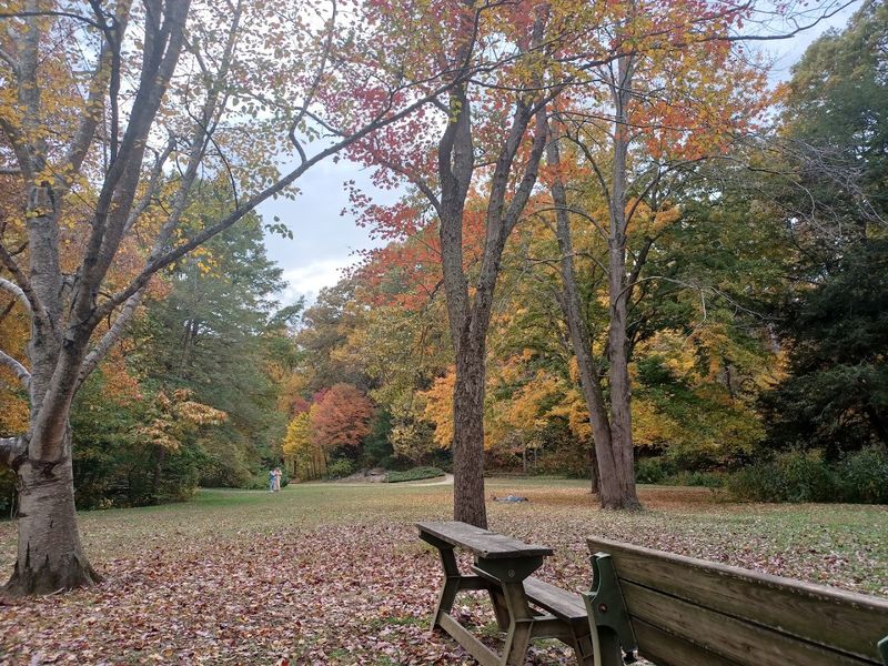 A Quiet Escape Close To Downtown Asheville