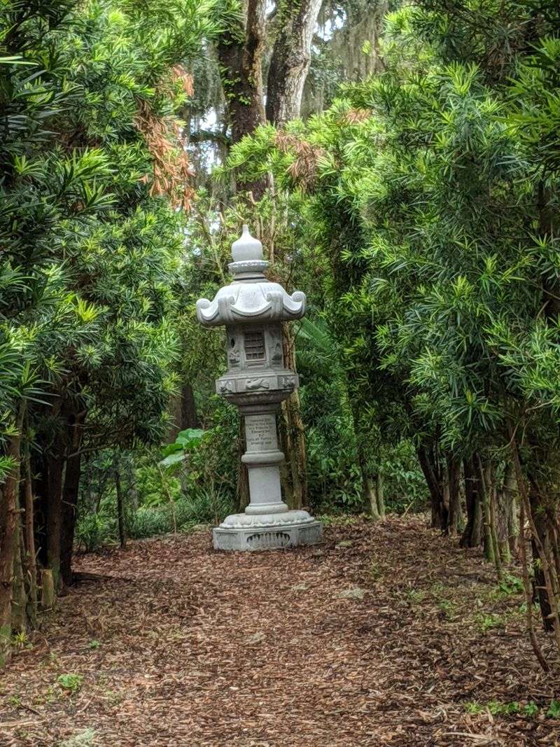 Winding Paths Through Lush, Enchanted Landscapes