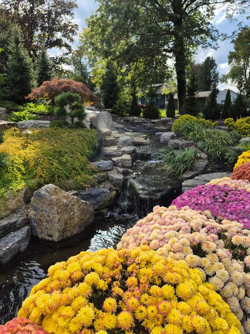 Color Explodes In Every Direction