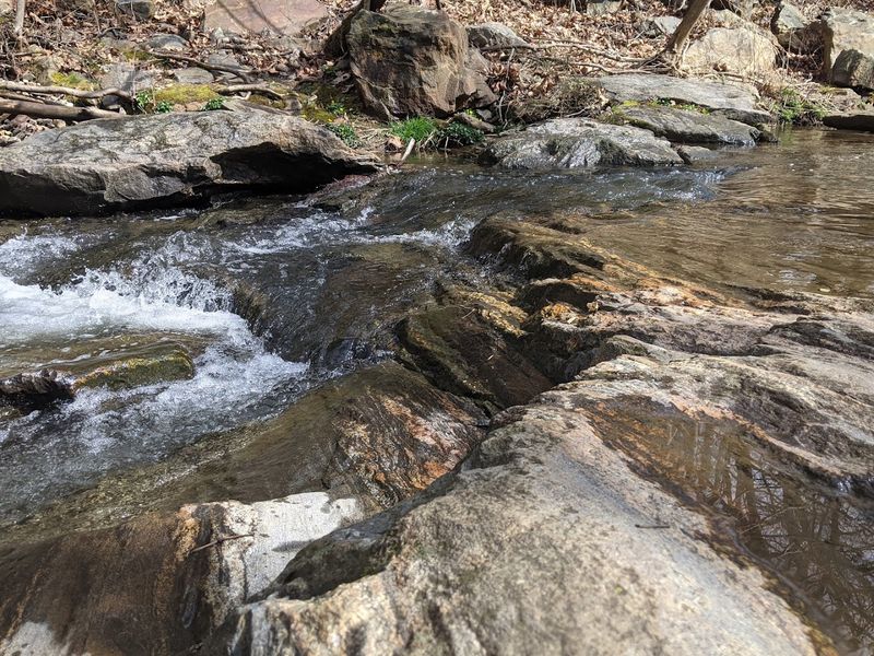 A Peaceful Natural Space Along The Reed Creek Greenway