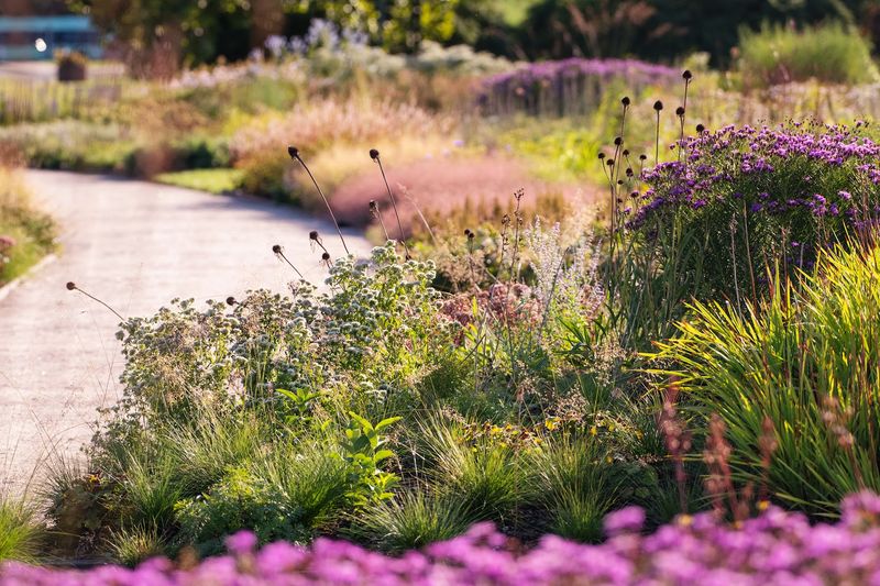 Designed To Highlight Native And Climate Adapted Plants