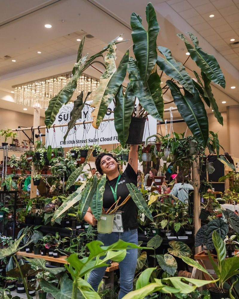  More Than Plants, A Full Experience