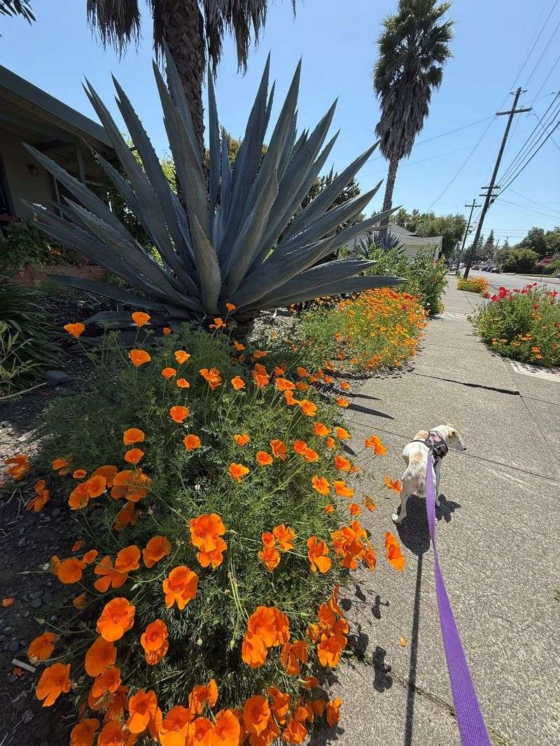 Big Color, Tiny Effort