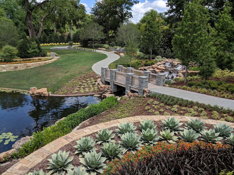 Unique Plants From Texas And Around The World