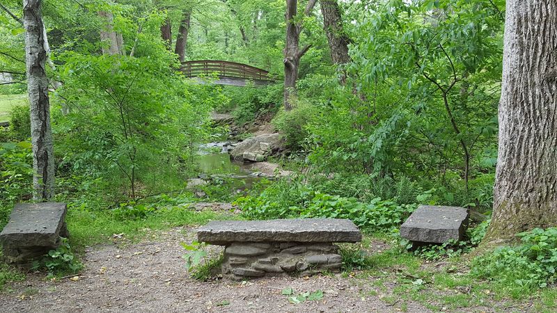 Educational Focus On Native Plants And Conservation