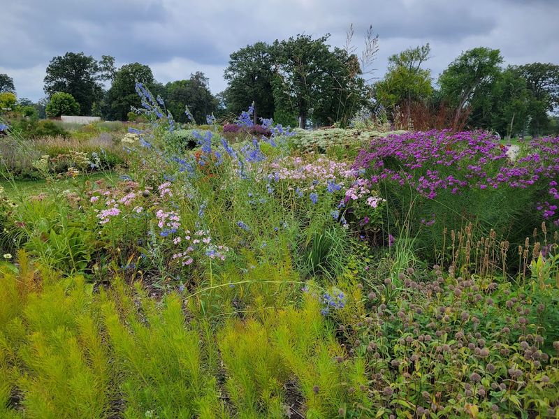 Supports Pollinators And Urban Biodiversity