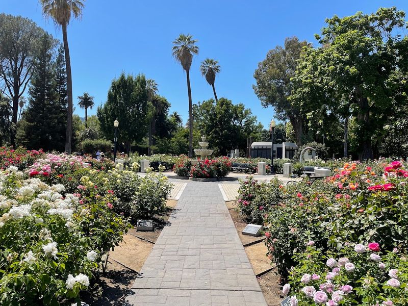 The Meaning Behind The Peace Garden