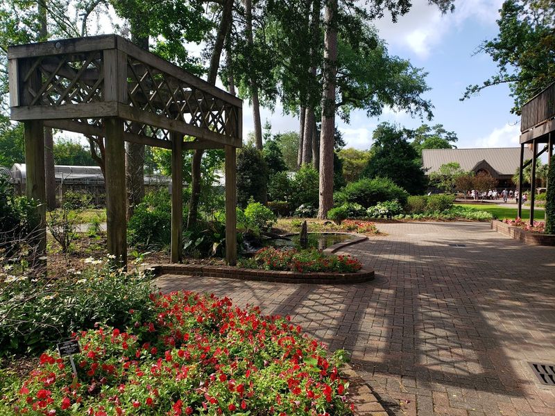 The Seasonal Bloom You Only See For A Short Time