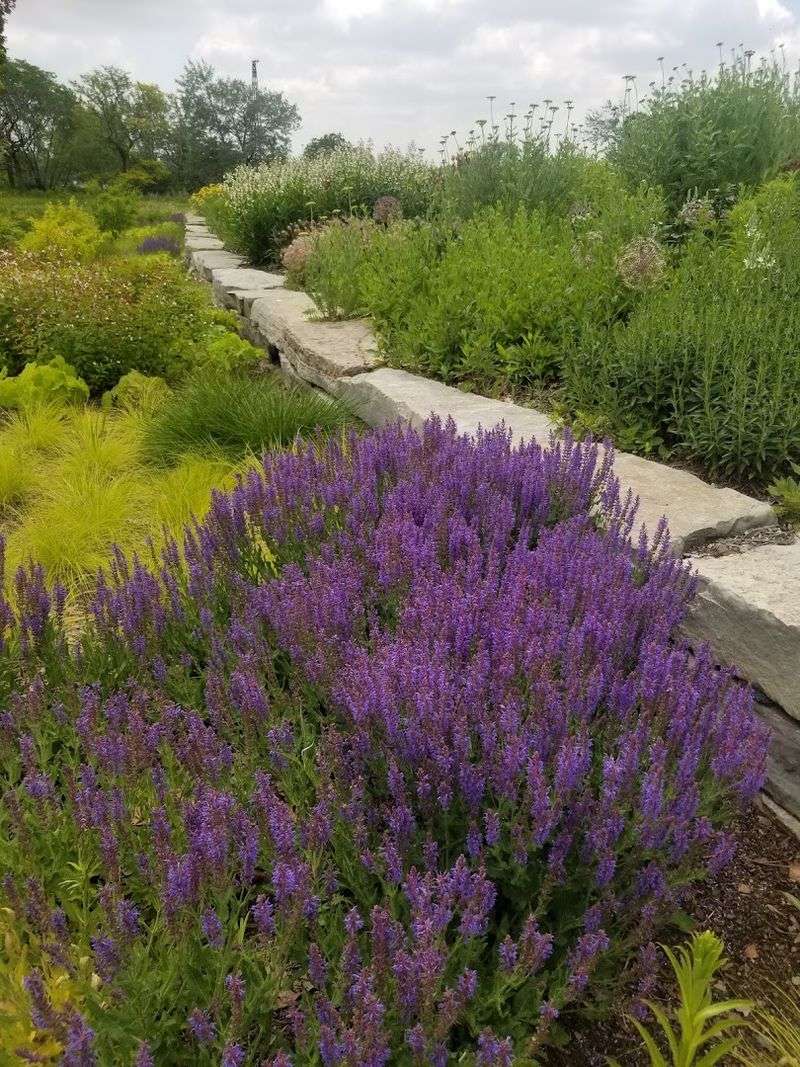 A Peaceful Space For Walking Reflection And Nature Observation