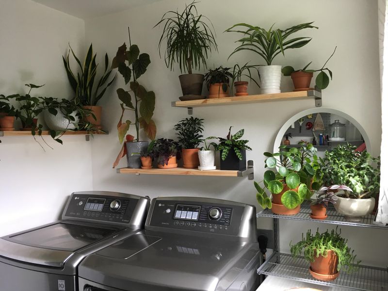 Near The Washing Machine