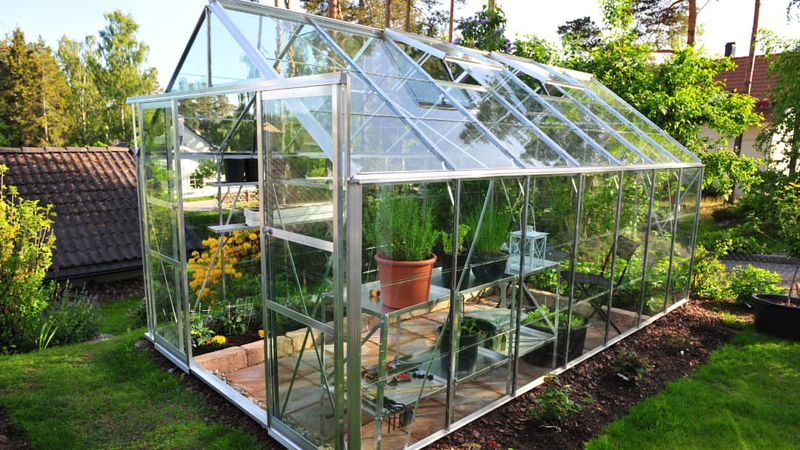 Harden Off In Protected Microclimates