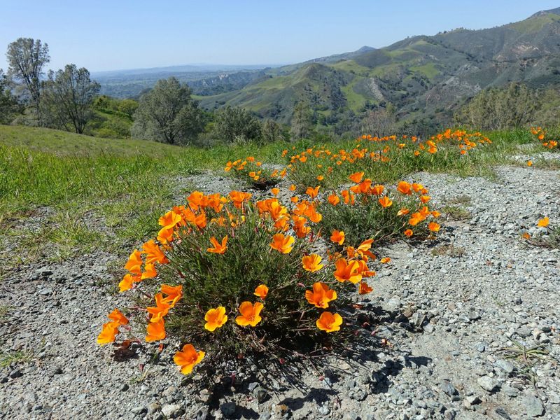 Racing To Beat The Dry Season