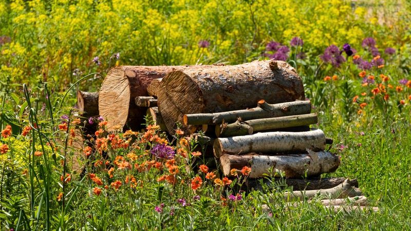 Don't Remove Every Branch