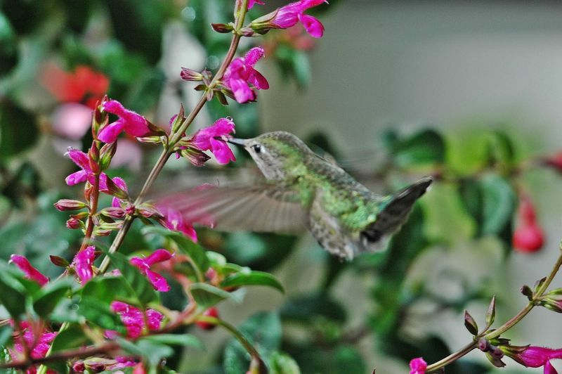 Create Multiple Vegetation Layers