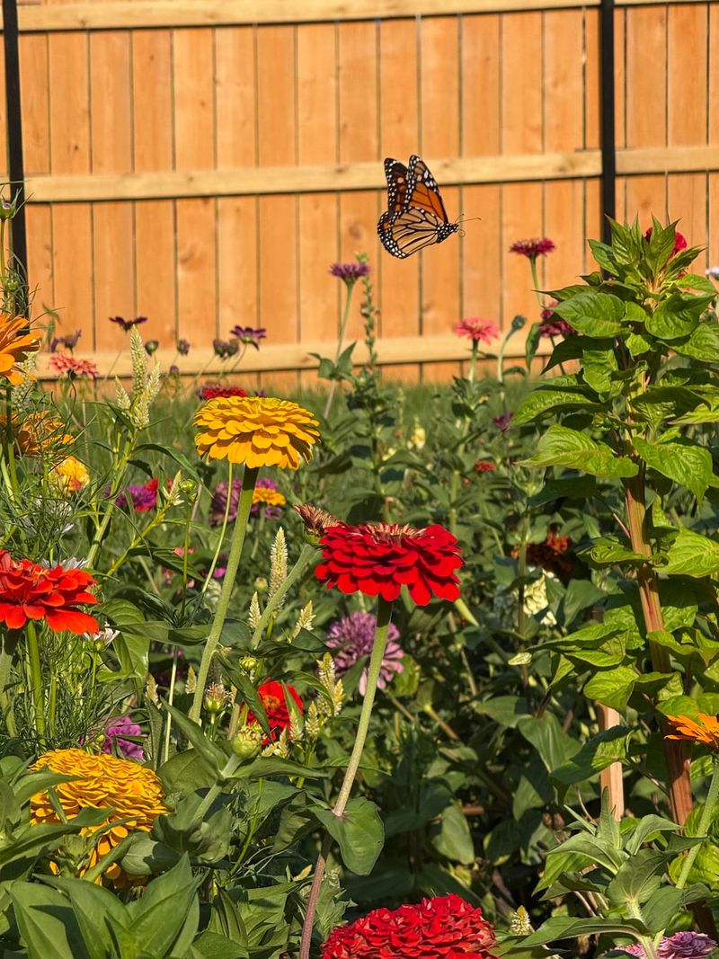 Allow Parts Of Your Garden To Look A Little Less Perfect
