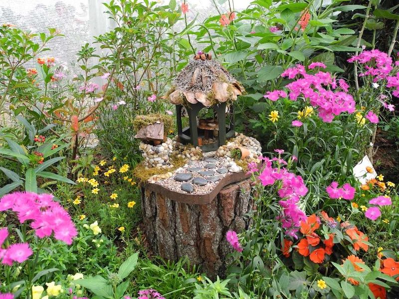 Plant Tiny Flowers For Color In Small Spaces