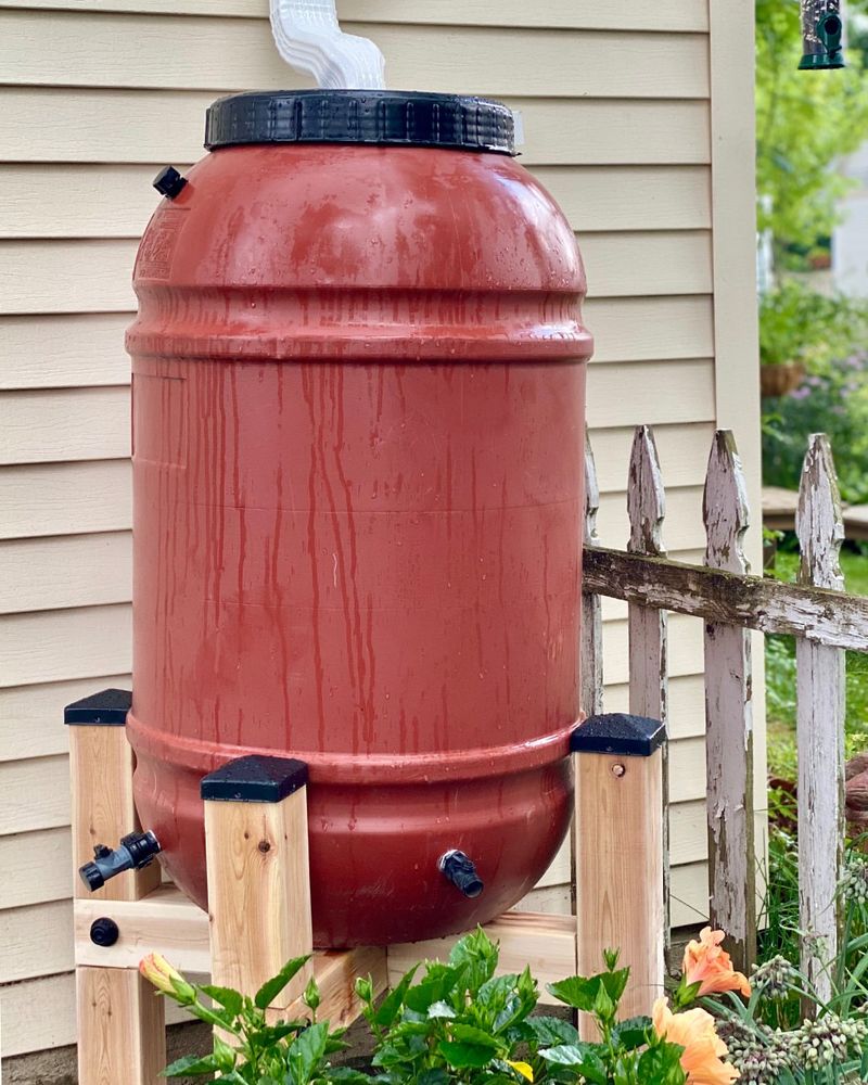 Collect And Use Rainwater When Possible