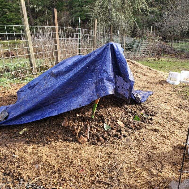 Protect Your Pile From Heavy Rain