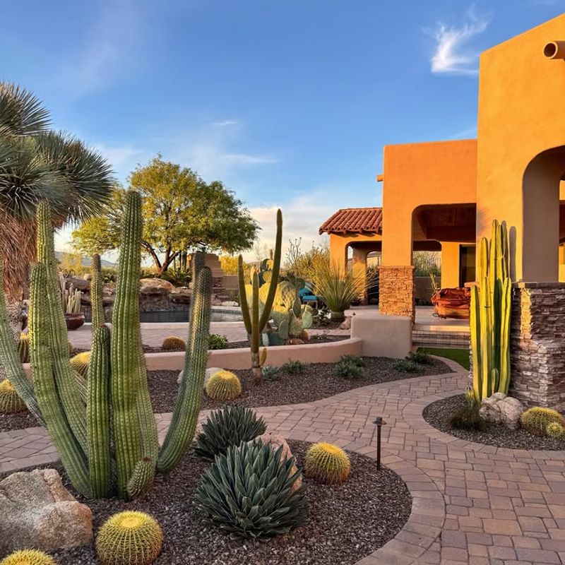 Group Plants By Water Needs For A Cleaner Look