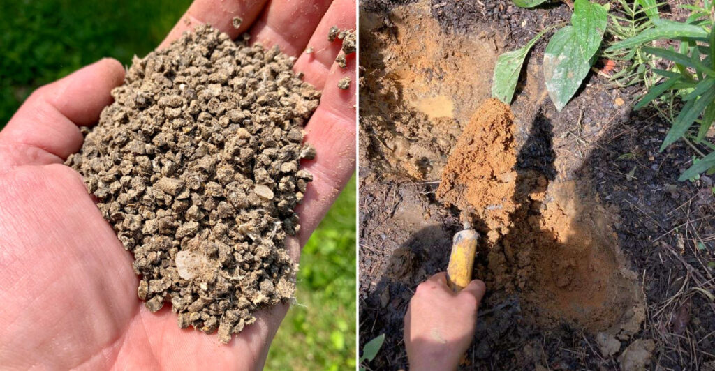 Add These To Your California Soil Before Spring Growth Takes Off